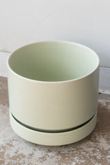 LBE Designs Round Pot & Saucer mint sits on a concrete surface in front of a white background