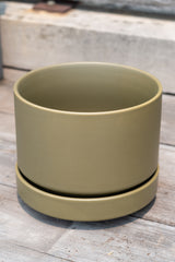 Round Pot & Saucer olive 6"