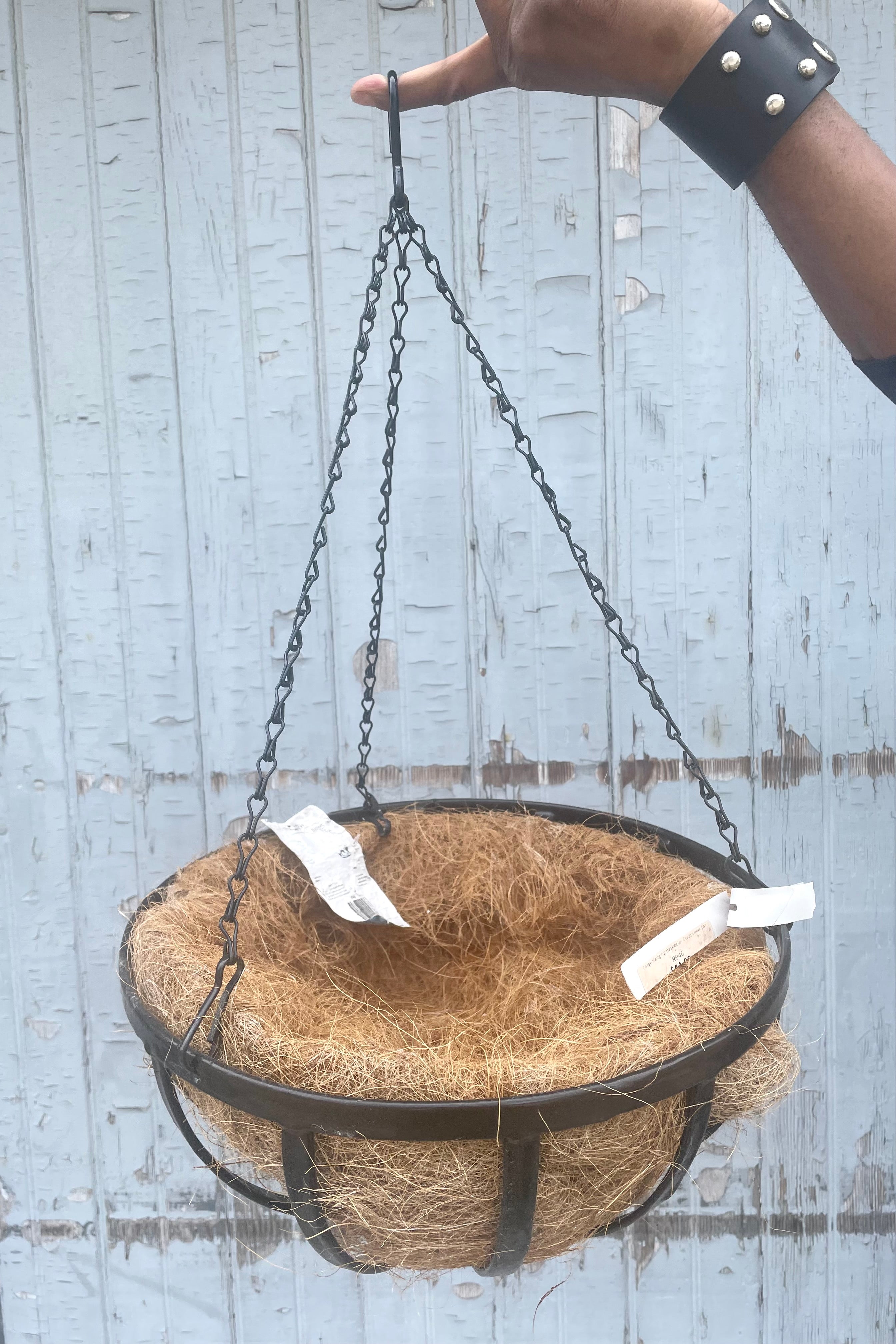 A hand holds Forge Hanging Basket w/ Coco Liner 14" against wooden backdrop