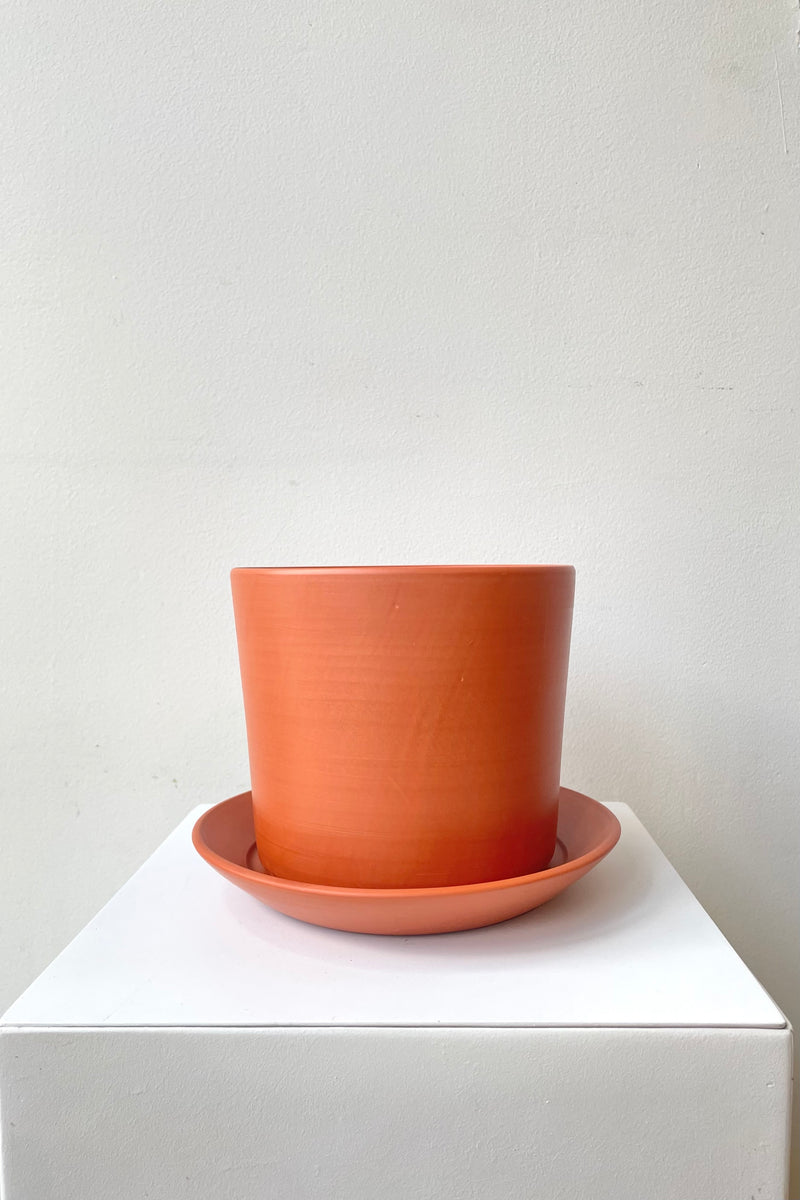 A full-body shot of a terracotta planter sitting atop a terracotta saucer against a white backdrop