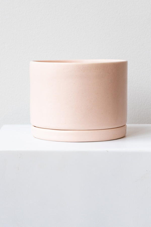A large pink ceramic planter sits on a white surface in a white room. The planter has a matching drainage tray. The planter is empty. It is photographed straight on.