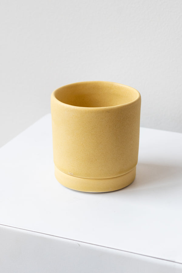 A small yellow ceramic planter sits on a white surface in a white room. The planter has a matching drainage tray. The planter is empty. It is photographed straight on.
