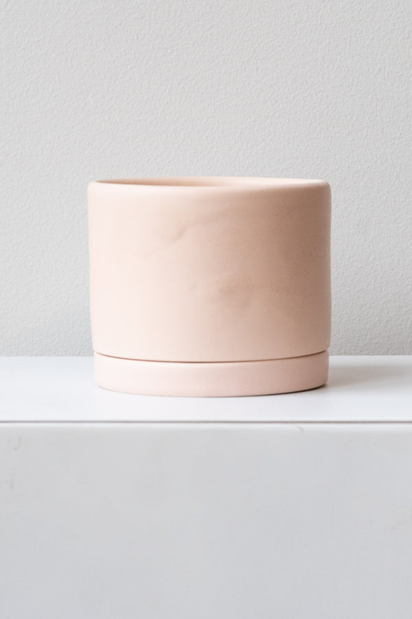 A medium pink ceramic planter sits on a white surface in a white room. The planter has a matching drainage tray. The planter is empty. It is photographed straight on. 