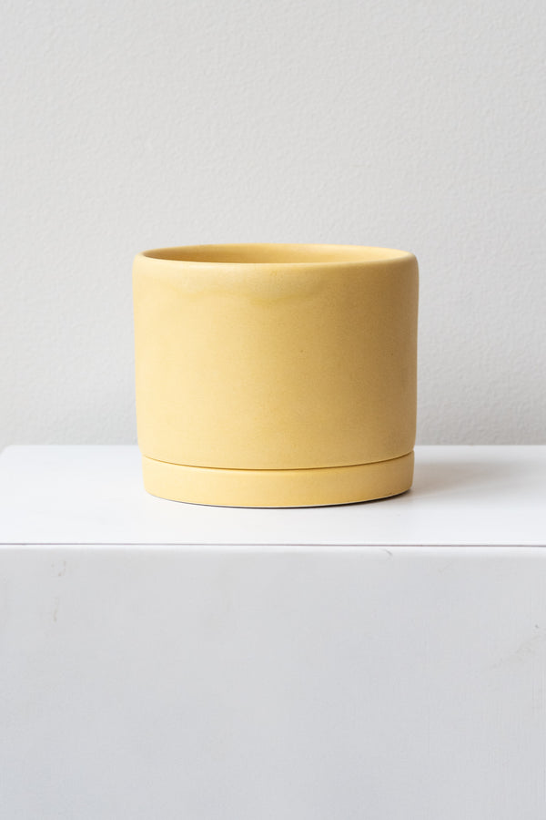 A medium yellow ceramic planter sits on a white surface in a white room. The planter has a matching drainage tray. The planter is empty. It is photographed straight on.