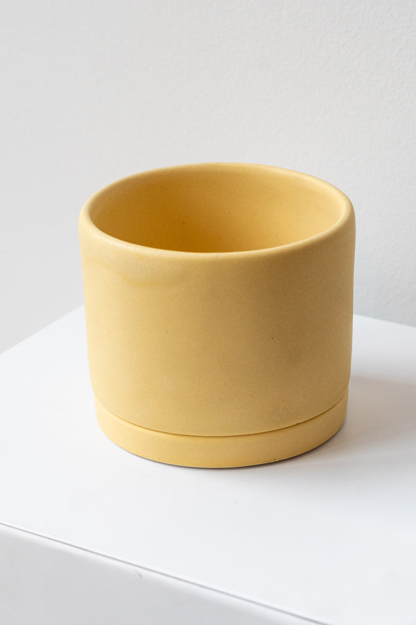 A medium yellow ceramic planter sits on a white surface in a white room. The planter has a matching drainage tray. The planter is empty. It is photographed closer and at an angle.