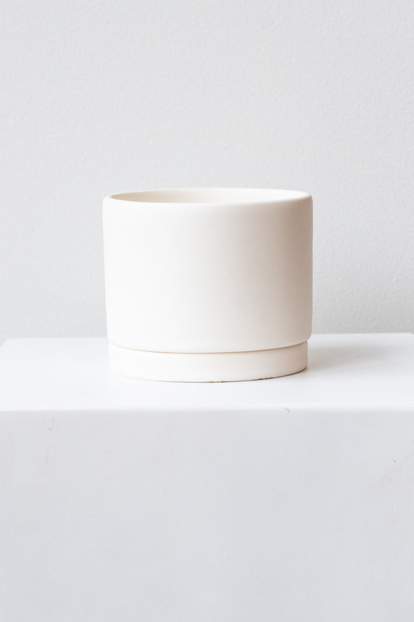 A medium white ceramic planter sits on a white surface in a white room. The planter has a matching drainage tray. The planter is empty. It is photographed straight on.