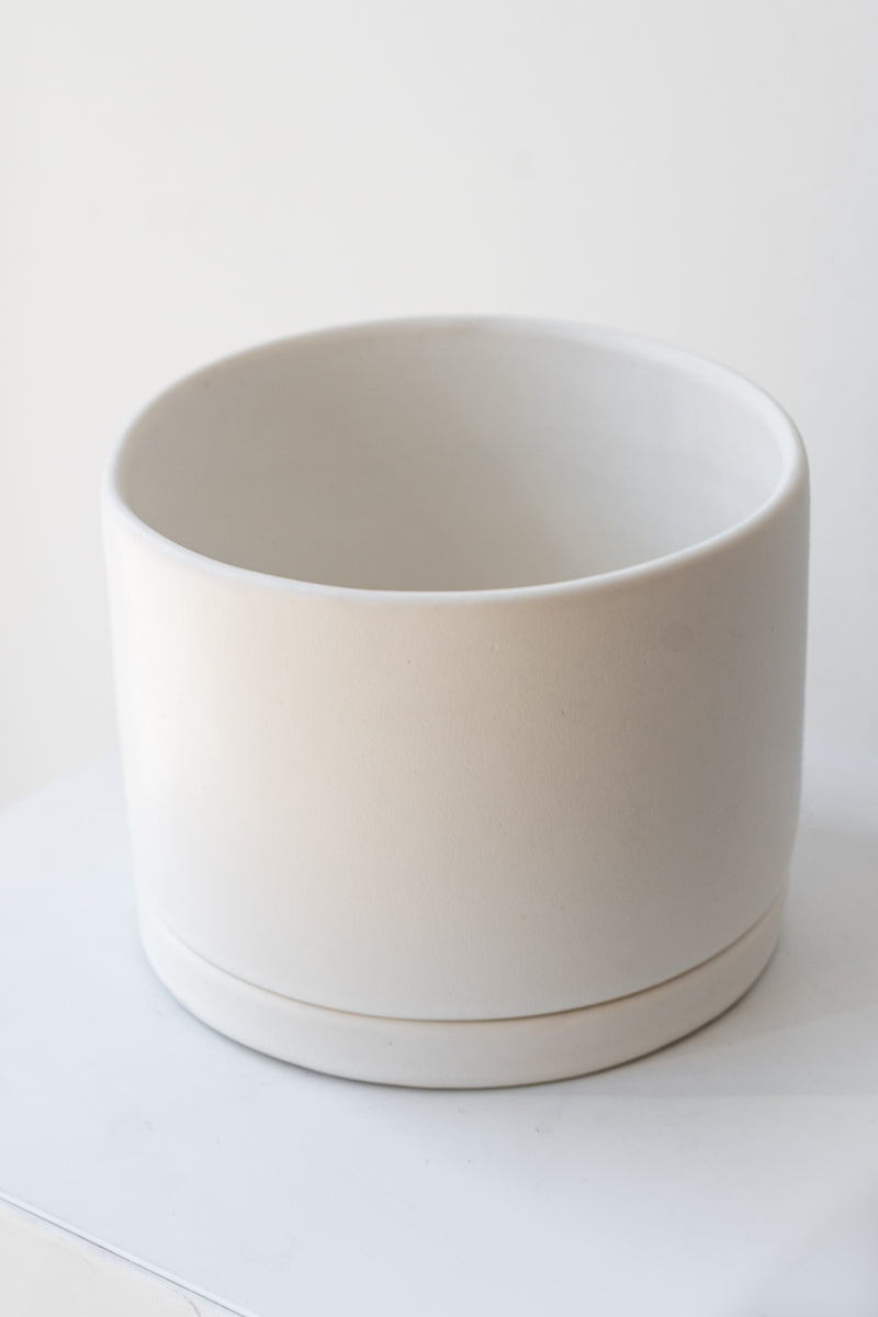 A large white ceramic planter sits on a white surface in a white room. The planter has a matching drainage tray. The planter is empty. It is photographed closer and at an angle.