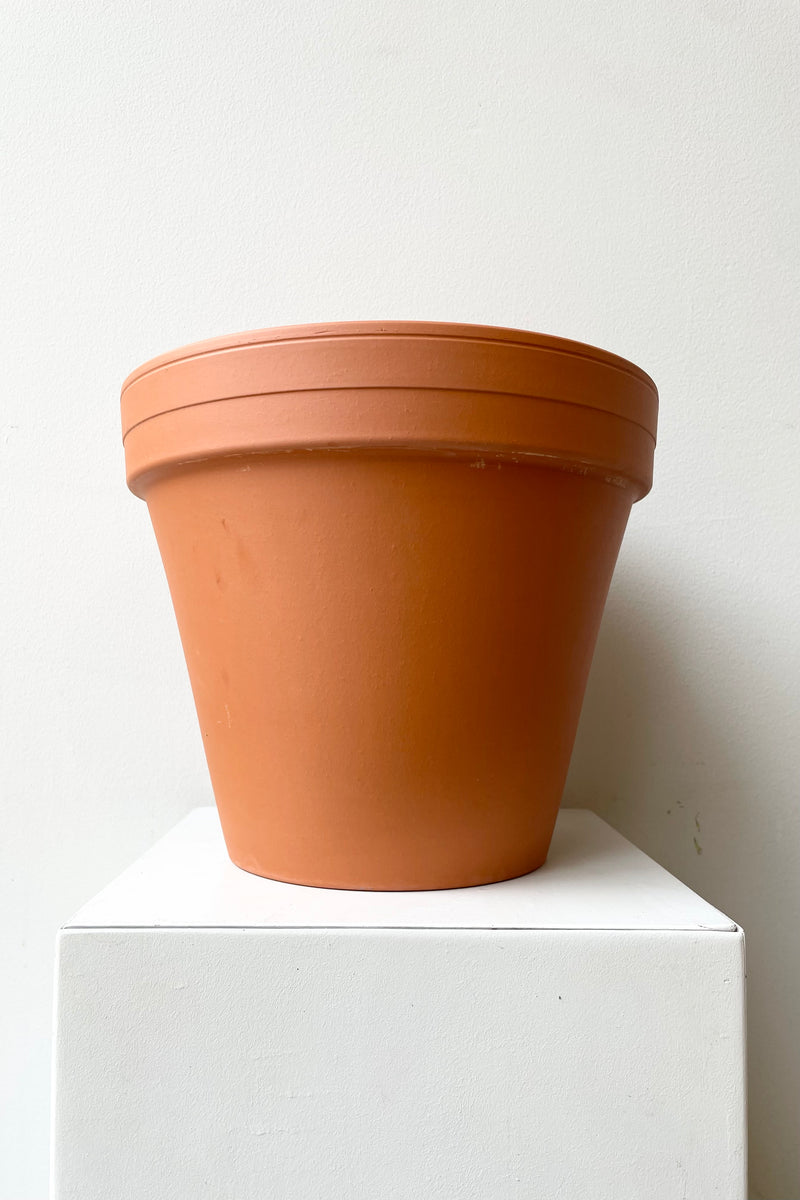 Clay Pot Red 10" against a white wall