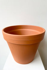 detail of the top of Clay Pot Red 10" against a white wall