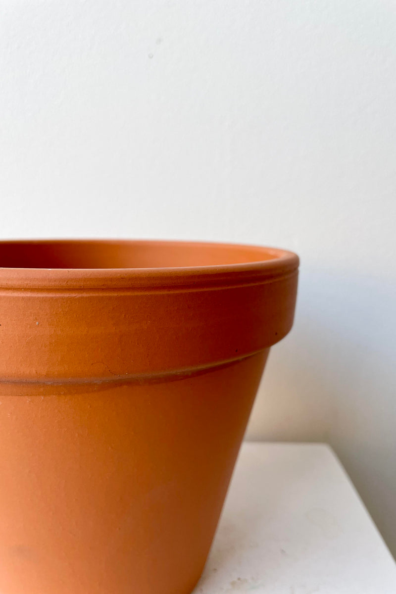 A detailed look at the Clay Pot 6".
