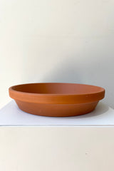 Clay Saucer Red to fit 10" against a white wall