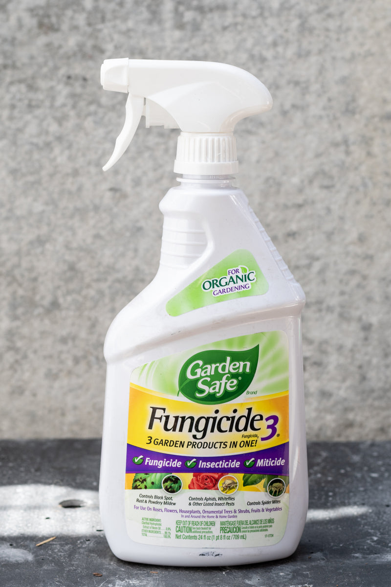 Garden Safe Fungicide3 spray bottle