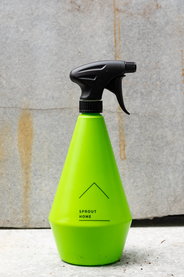 Sprout Home mister spray bottle in a lime green color against a gray wall. 