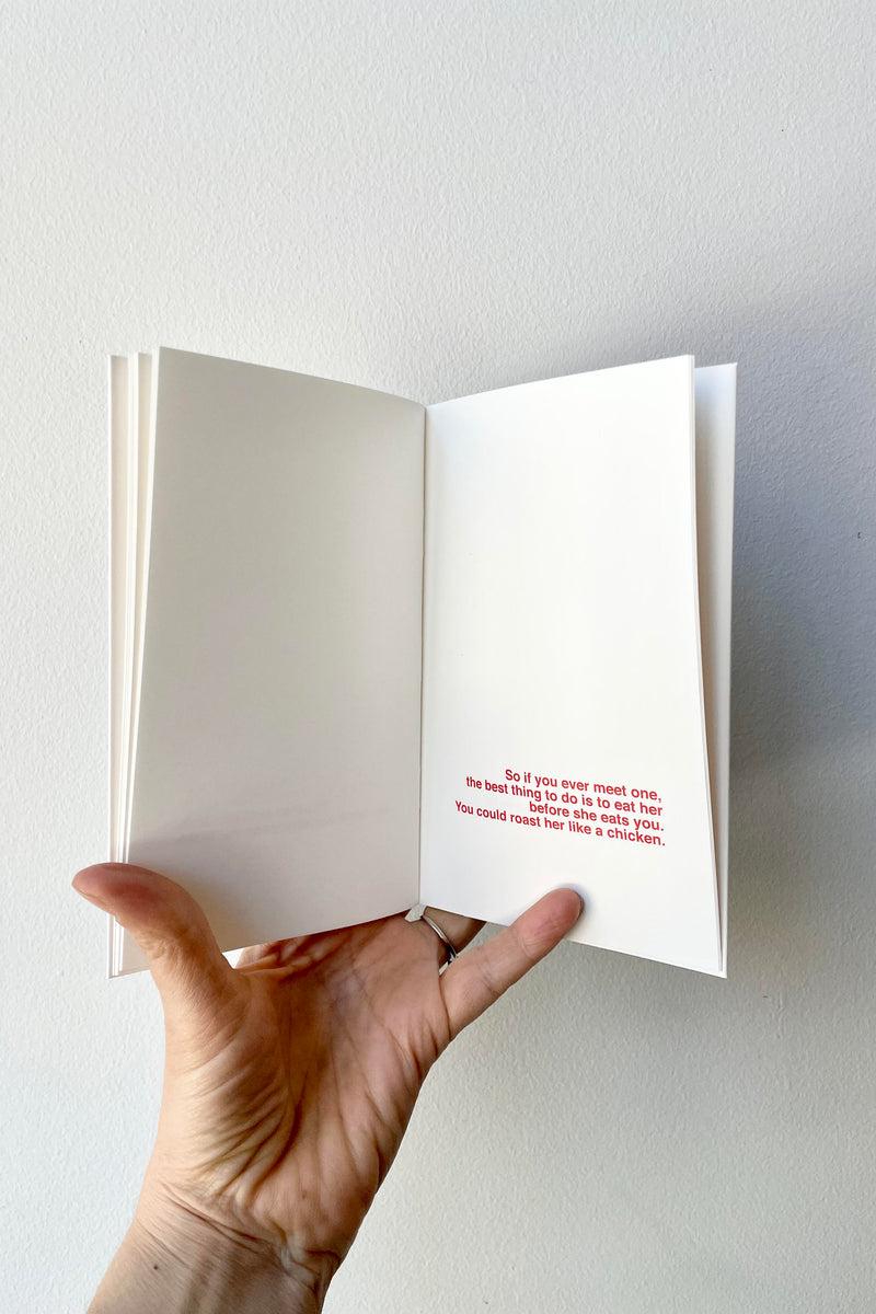 A hand holds The Angry Fairy - Book to Illustrate open against a white backdrop.
