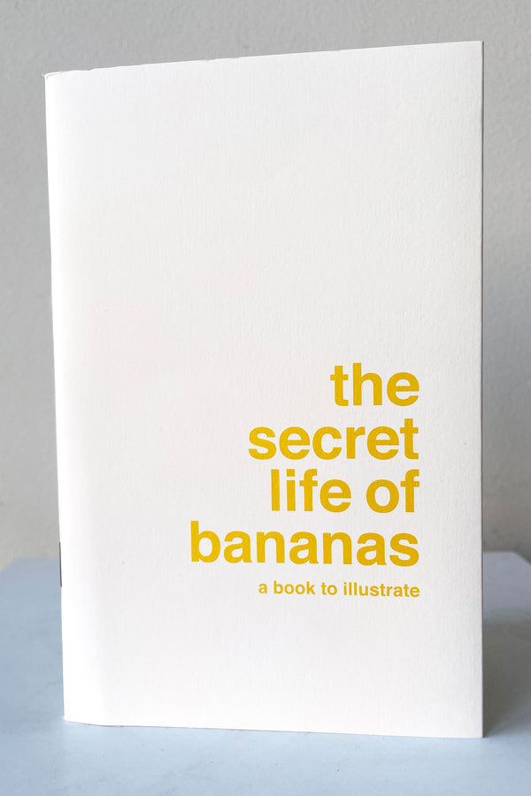 A view of the front cover of The Secret Life of Bananas - Book to Illustrate against a white backdrop
