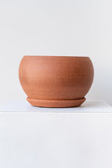 A round brick-colored ceramic planter sits on a white surface in a white room. The planter is bubble-shaped and sits on a round drainage tray. The planter is empty. It is photographed straight on.