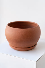 A round brick-colored ceramic planter sits on a white surface in a white room. The planter is bubble-shaped and sits on a round drainage tray. The planter is empty. It is photographed closer and at an angle.