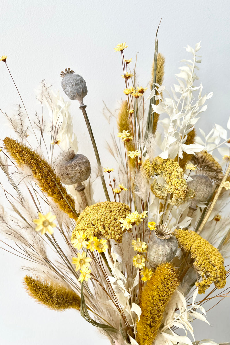 Different types of dried floral with the colors yellow, white and tan in front of white background.