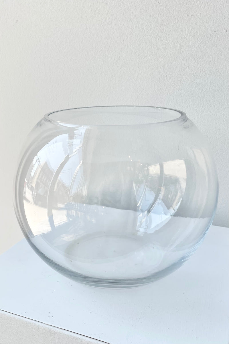Round Terrarium 7"H x 8" Clear Glass detail of opening on the top, against a white wall