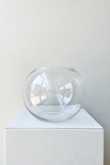 Round Terrarium 7"H x 8" Clear Glass with opening on the top, against a white wall
