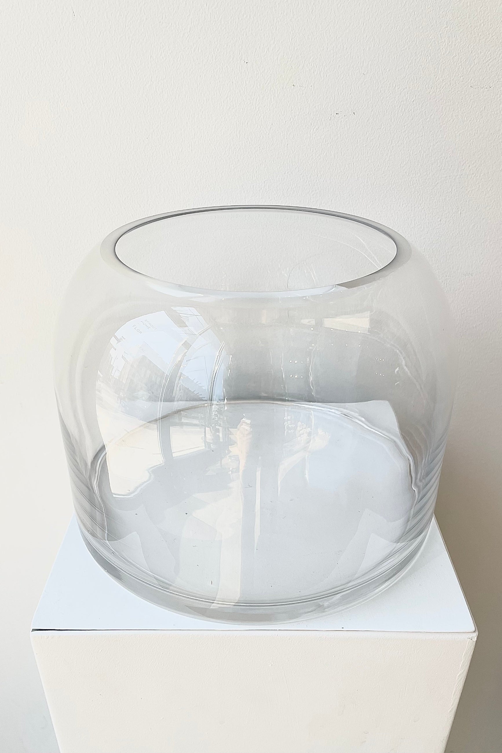 Glass Dome Terrarium short detail of opening on the top against a white wall ©Sprout Home