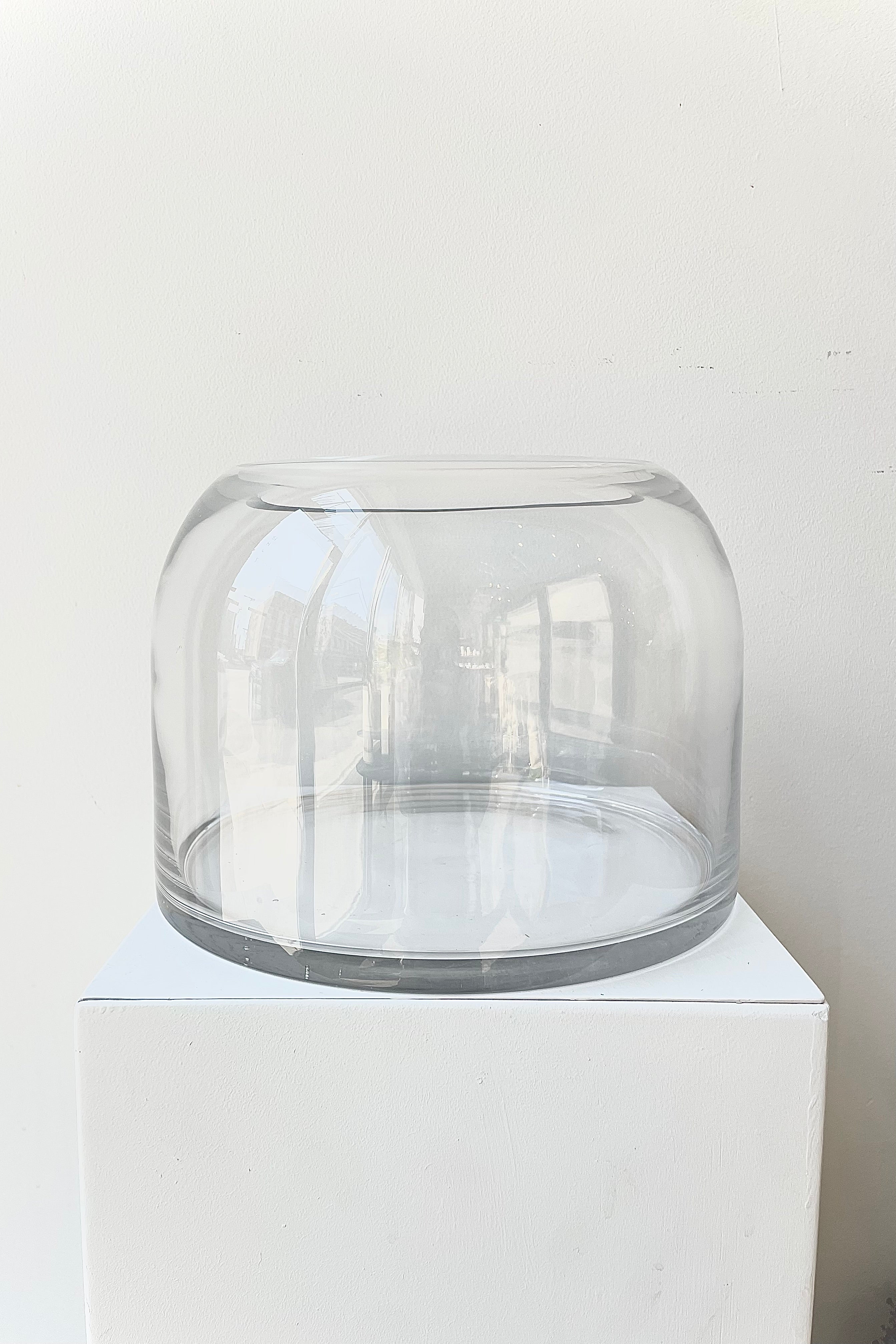 Glass Dome Terrarium short with an opening on the top against a white wall