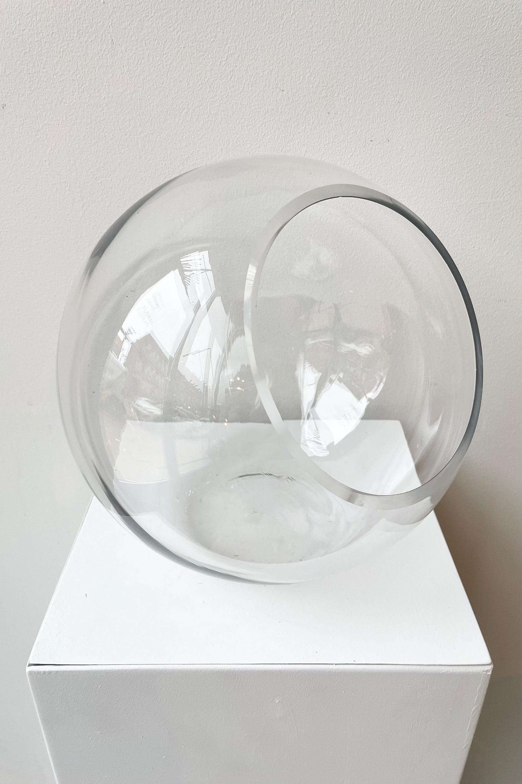 Glass Hurricane Terrarium 9" with an opening on the side against a white wall detail ©Sprout Home