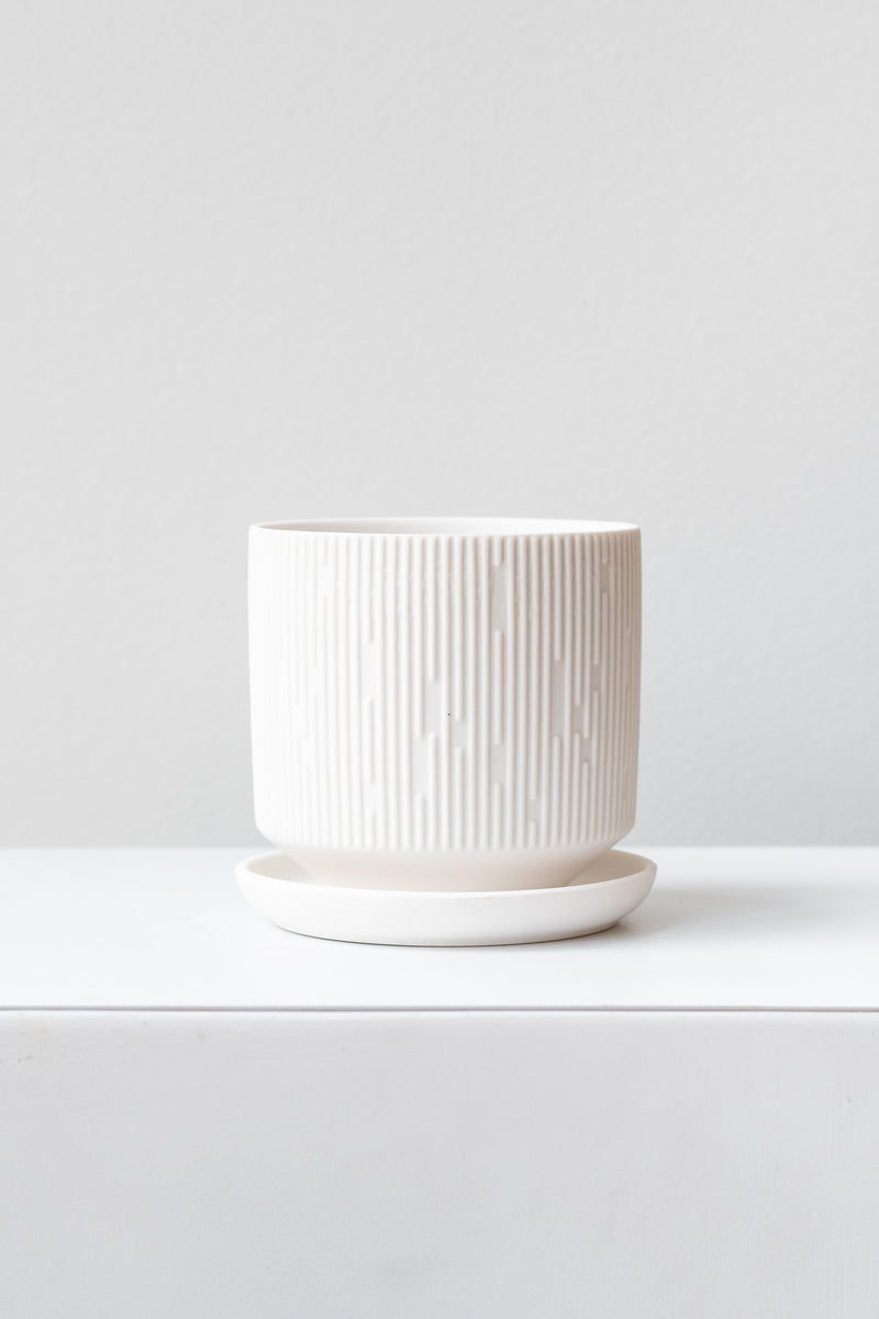 Small white Virago C Planter sits on a white surface in a white room