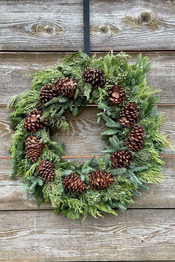 Multicone deluxe wreath 24" diameter hanging on a wood fence.