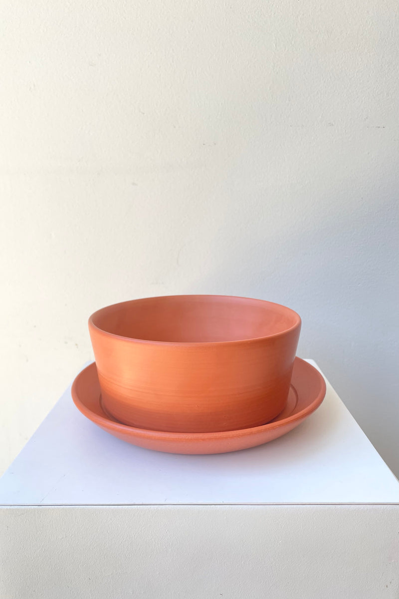 A slight overhead view of terracotta planter sitting atop a detached saucer against a white backdrop