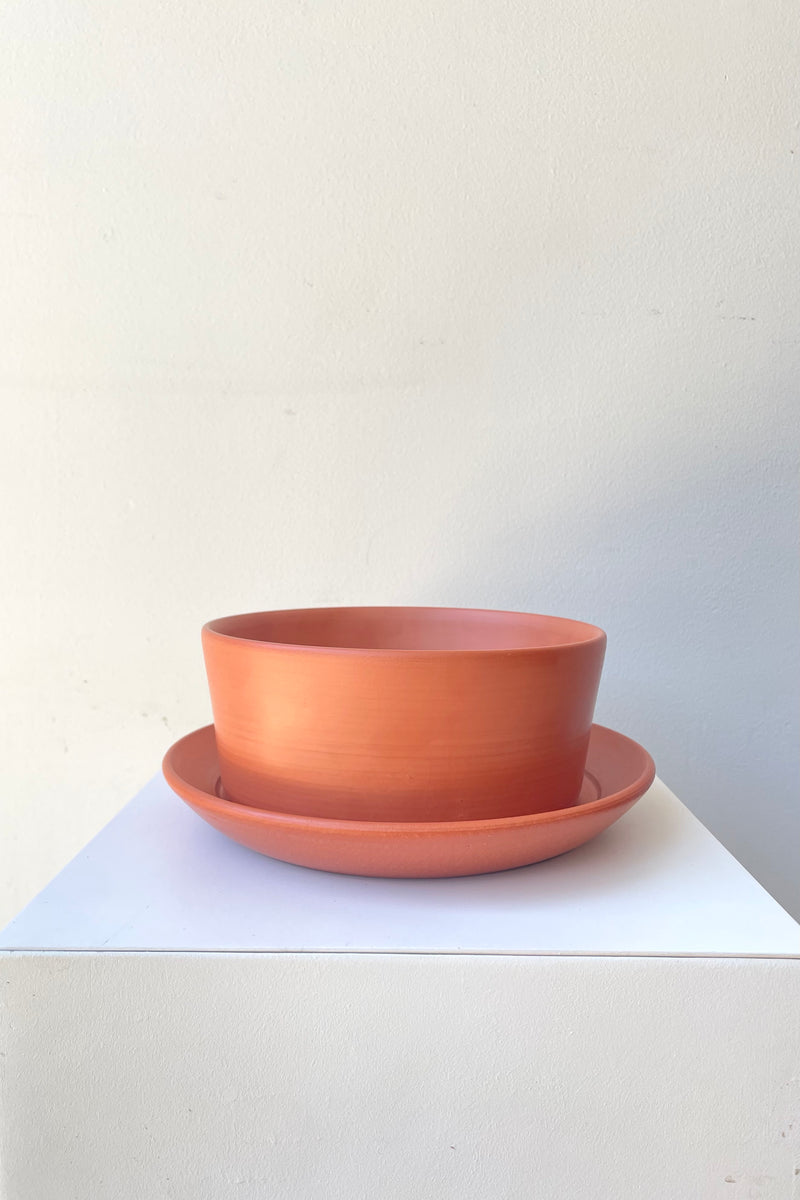 A full-body view of terracotta planter sitting atop a detached saucer against a white backdrop