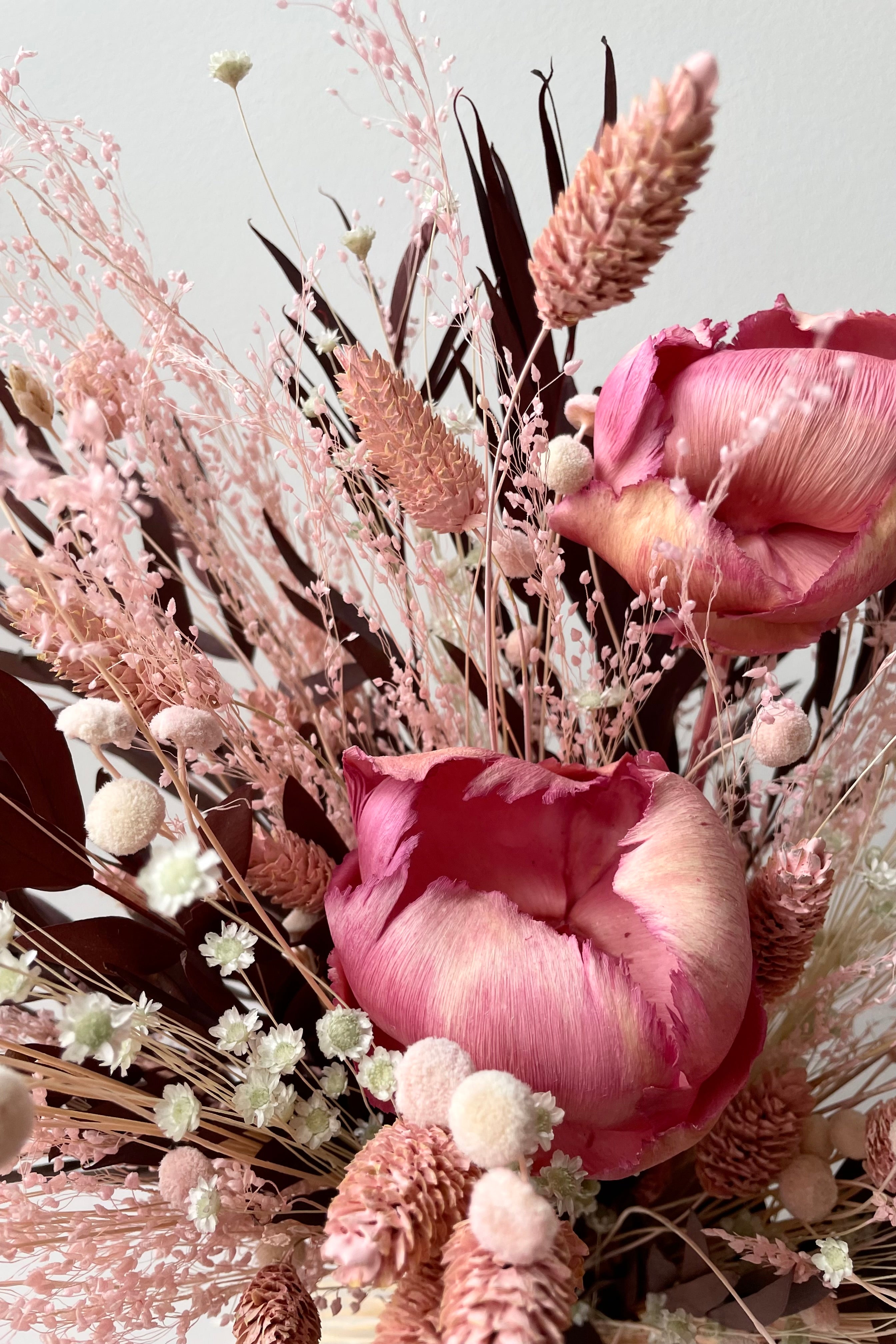 Chocoberry preserved floral arrangement by Sprout Home against a white wall showing details of the pink flowers and maroon leaves #size_$85