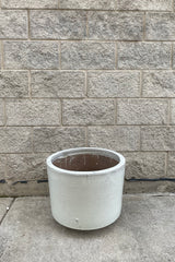 A full frontal view of Lara Oyster White Planter Small against concrete backdrop