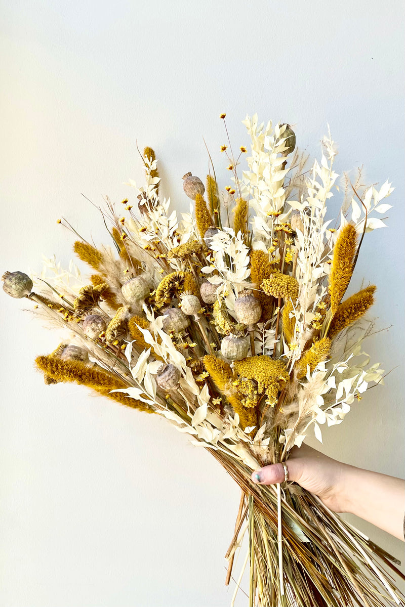 Hand holding a full arrangement of dried floral. Colors comprised of bright yellows, soft tans, and vibrant whites. All in front of a white wall.