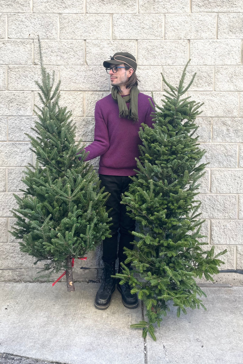 A man holds two variations of the Balsam #1 Premium 5–6' Christmas tree