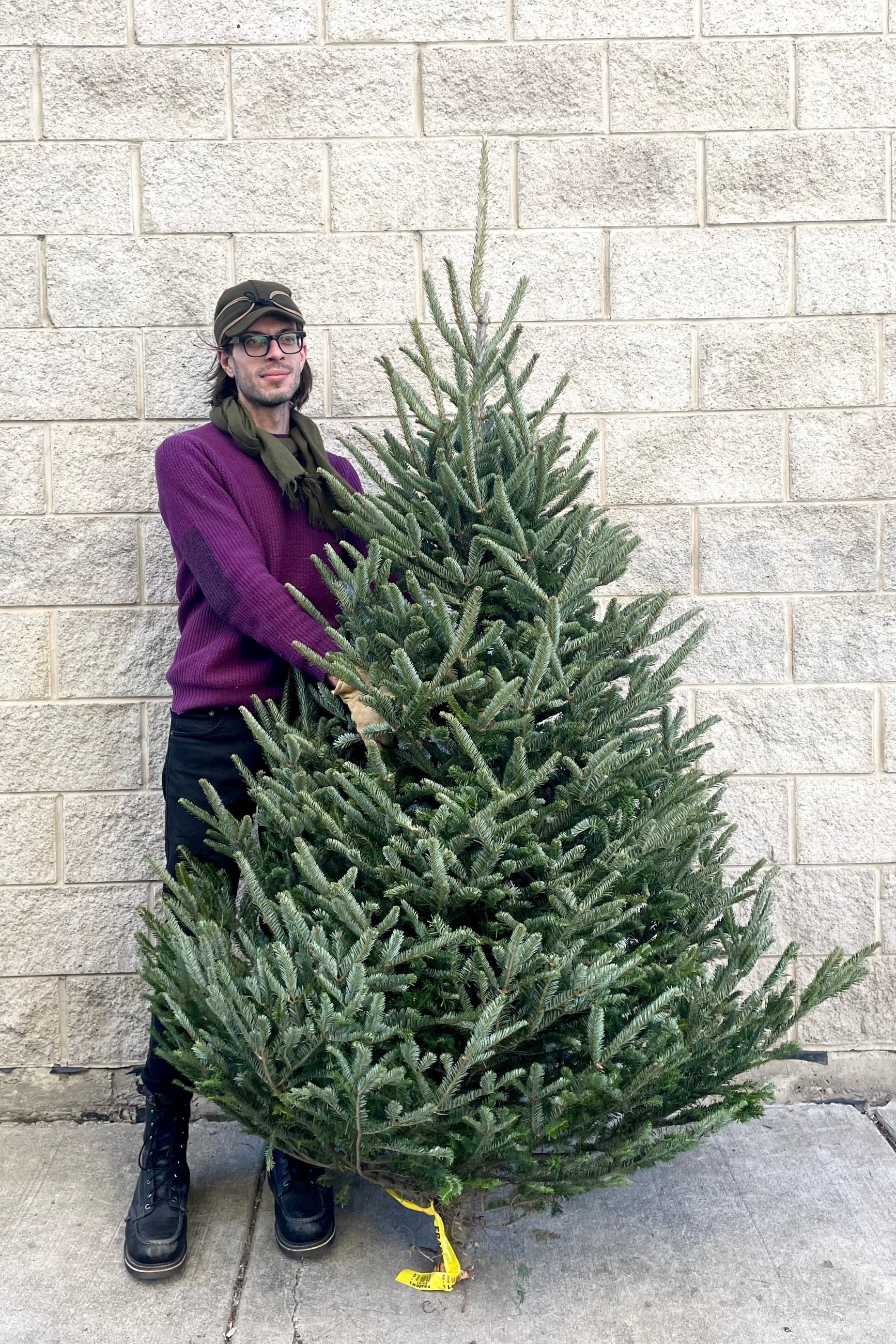 A man holds one variation of Balsam #1 Premium 6–7' Christmas tree ©Sprout Home