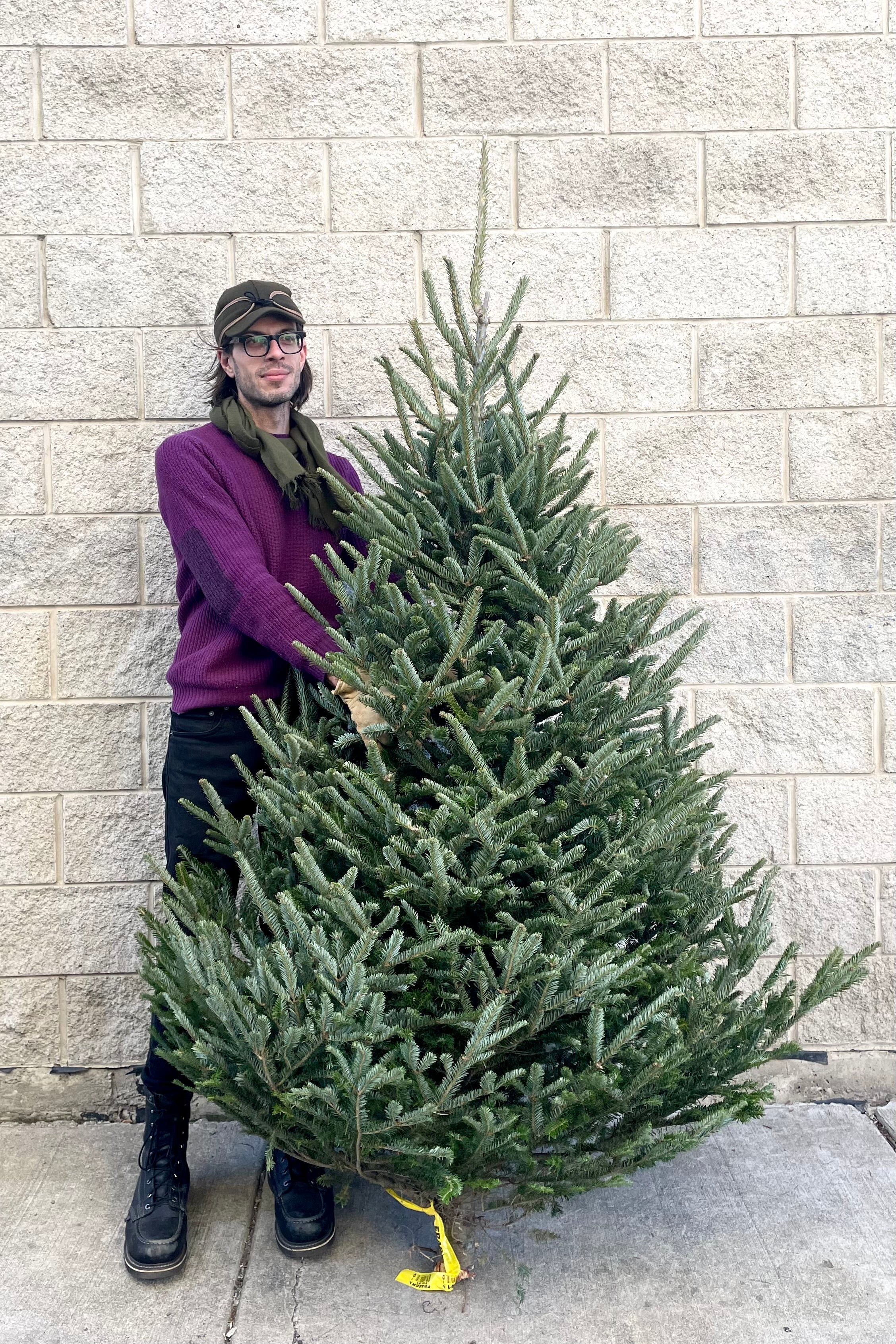 A man holds one variation of Balsam #1 Premium 6–7' Christmas tree