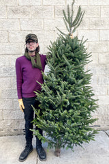 A man holds one variation of Balsam #1 Premium 7–8' Christmas tree
