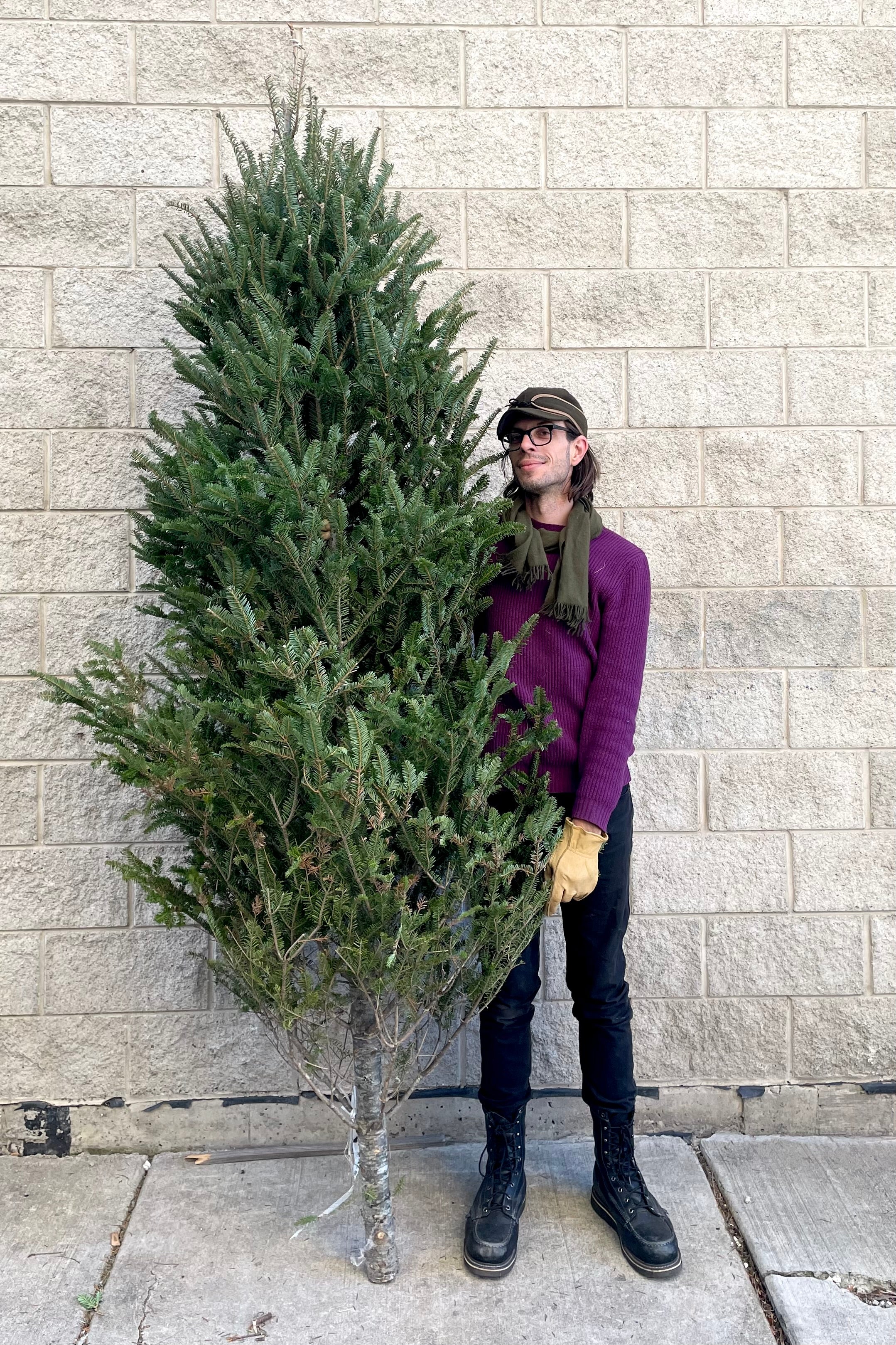 A man holds a variation of Balsam #1 Premium 8–9' Christmas tree