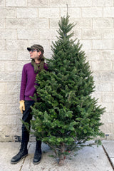 A man holds a variation of Balsam #1 Standard 6–8' Christmas tree